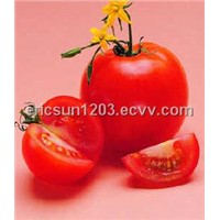 Lycopene