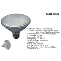 PAR30 LED Lamp (PAR30 -60LED)