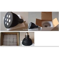 PAR38 LED Down Light