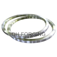 Ring Forged Flange