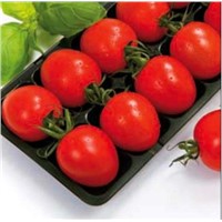 Tomato Tray Machine