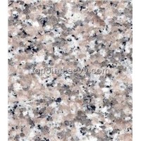 Granit Floor Tile