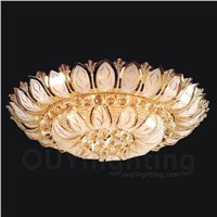 Ceiling Light