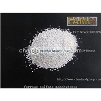 Ferrous Sulfate Granular (FAMI-QS) Fe:31%