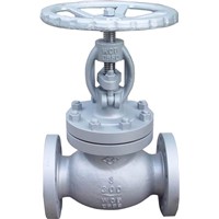 Globe Valves