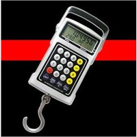 Multi-Functional luggage/hook Scale (DG01A)