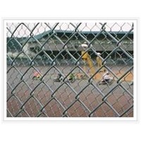 Chain Link Fence