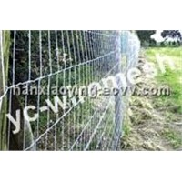filed wire mesh