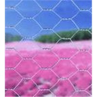 Hexagonal Wire Mesh 13