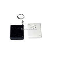 Light Sensor Sound Keychain