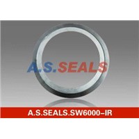 Spiral Wound Gasket