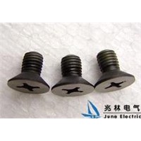 Zirconium Screws