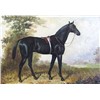 Animal Oil Paintings-Horse Oil Paintings