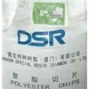 Polyester Chips - CSD Grade (TLE-102)