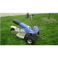 Electric Golf Cart (SX-E0906-3A)