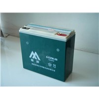 Battery (6-DZM-20)