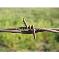 Barbed Wire (001)