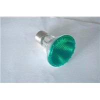PAR20 LED Light