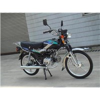 Motorcycle (SJ110-25)