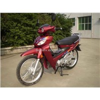Motorcycle SJ110-9B