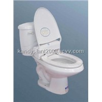 Sanitary Toilet Seat
