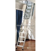 Telescopic Ladder (TL03)