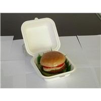Disposable Hamburger Box