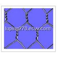 Hexagonal Wire Mesh (01)