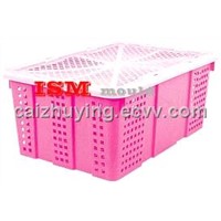 plastic mould Crate / Injection Mould