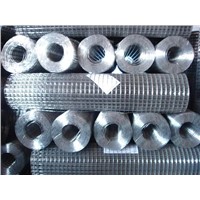 Welded Wire Mesh (HG-5)