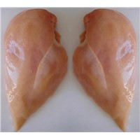 Frozen Chicken Breast (SBB)
