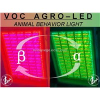 VOC AGRO-LED 2D-panel - animal behavior lighting