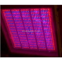 VOC AGRO-LED 2D-panel - assimilation lighting