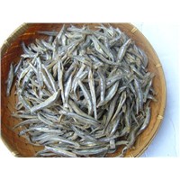 dried  Anchovy