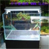 Aquatic fish tank