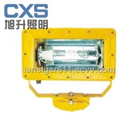 Outer Explosion-Proof Strong Flood Light (CBFC8100)