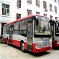 CNG bus