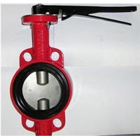 Double-axis Butterfly Valve