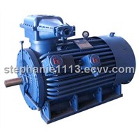 High Voltage Explosion Proof Three Phase Induction Motor