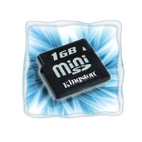 Mini SD Card/Mini Storage Card (ST-MC03)