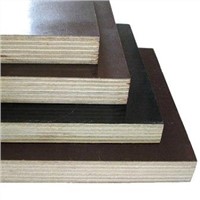 Faced Plywood (HYPD)
