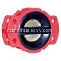 Rubber Coated Check Valve