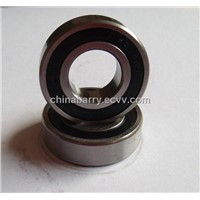 Steel Bearing (CB6204)