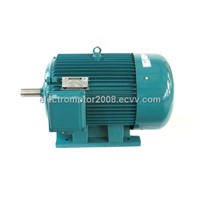 Three Phase Induction Motor (H80-315)
