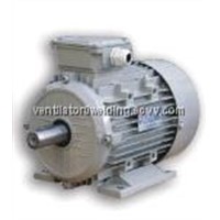 Y series 3-phase induction motor