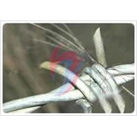 Barbed Wire