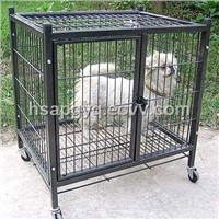 Stainless Steel Cage