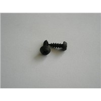 Self Tapping Screws