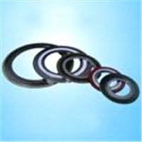 Spiral Wound Gasket (FH-9201)