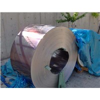 Stainless Steel cold rolled Strip